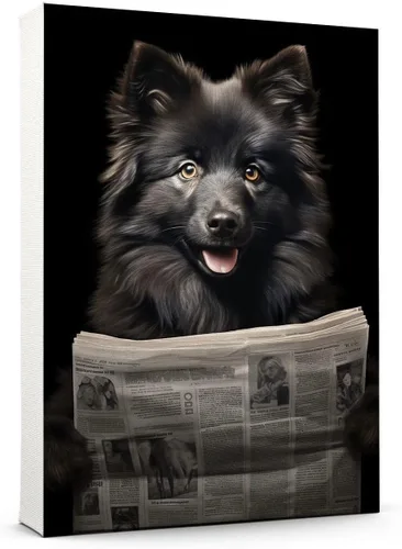 Vista 159 de Thuan Affenpinscher - Póster de lienzo con tus fotos, arte de pared para decoración del hogar, regalo conmemorativo para amantes de las mascotas