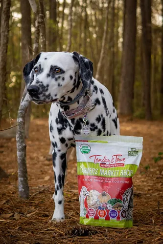 Vista 3 de Tender & True Pet Nutrition Farmers Market Recipe Alimento crudo congelado para perros, 1 libra