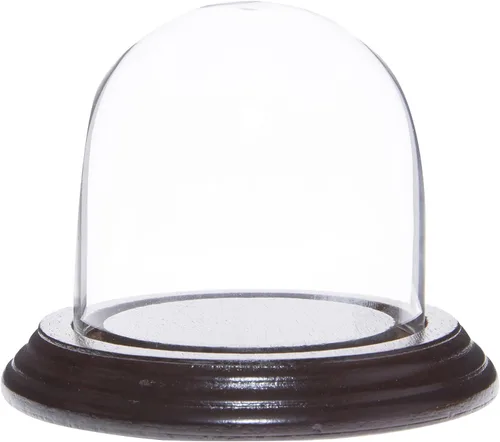 Vista 6 de Plymor 3 "x 3" Pantalla de cristal Dome Cloche (base de chapa de roble)