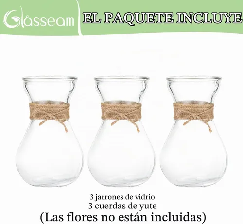 Vista 6 de Glasseam Jarrón de cristal transparente para flores, juego de 3 jarrones de bombilla para forzar bulbos de jacinto, pequeños jarrones decorativos