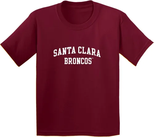 Vista 536 de NCAA Arch Logo, camiseta juvenil color del equipo, universidad - universidad