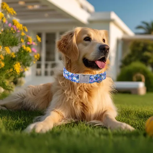 Vista 204 de Collar para perros del 4 de julio, collares patrióticos azules para cachorros y perros pequeños, ligero y ajustable 1776 collares para cachorros