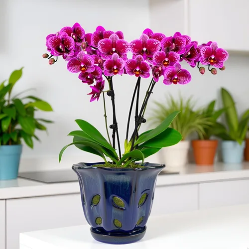 Vista 6 de Ceramic Orchid Pots with Holes 6 inch (Dark Blue)