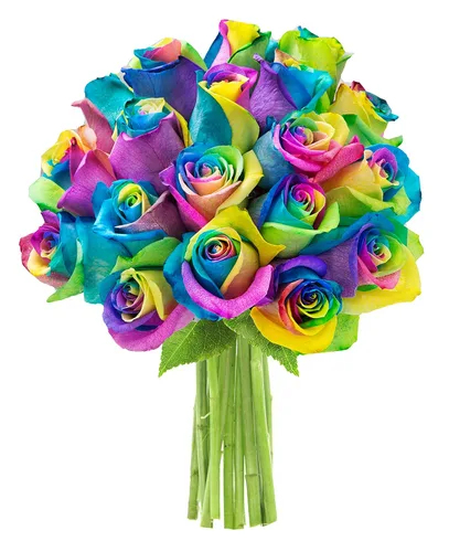 Vista 49 de KaBloom - Rosas arcoíris (media docena)- Flores frescas para cumpleaños, San Valentín y Día de la Madre