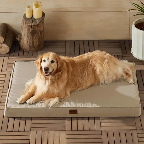 Vista 13 de BFPETHOME Cama para Perros de Exterior para Perros Grandes, Impermeable, Ortopédica con Funda Extraíble Lavable, Colchoneta de Espuma Tipo Caja