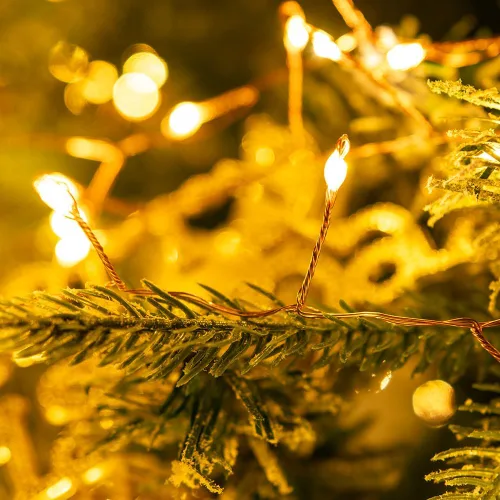 Vista 4 de Cadena de luces de petardos de 10 pies con cable de cobre blanco cálido, luces de hadas en racimo para interiores con control remoto y temporizador