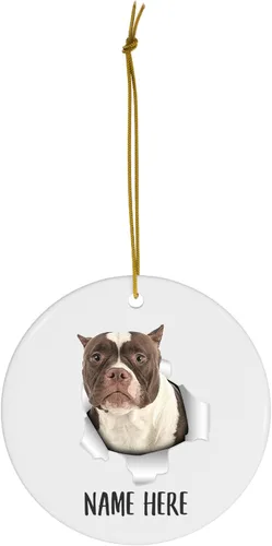 Vista 2 de Personalized Name American Bully Chocolate Fur White Christmas Tree Ornaments Circle Ceramic Decorations Gifts for Dog Lovers Owners