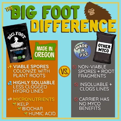 Vista 6 de Big Foot Mycorrhizae para Plantas, Plantas en Maceta y Jardines - Concentrado que se Disuelve Completamente en Agua, Fertilizante Orgánico Todo
