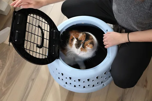 Vista 5 de Petmate Get-A-Round - Perrera para gatos, hasta 20 libras, azul, 19 pulgadas de ancho