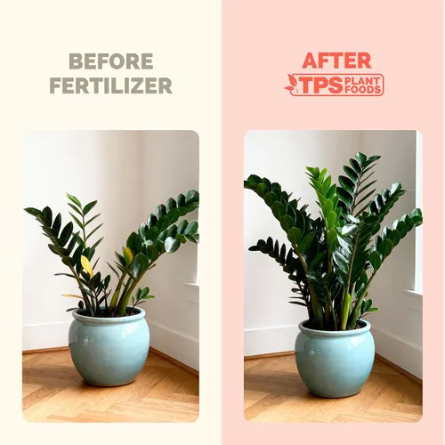 Vista 3 de ZZ Fertilizante para plantas – Alimento líquido para plantas para hojas verdes brillantes, raíces más fuertes y un nuevo crecimiento saludable, 8