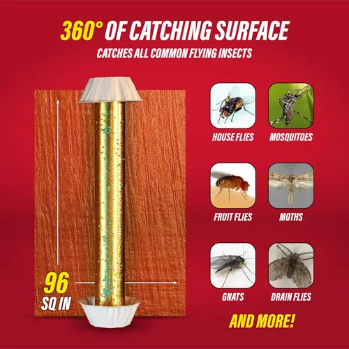 Vista 3 de Catchmaster Trampa para moscas Gold Stick, 4 unidades, trampas para moscas de frutas y insectos para interiores y exteriores, adhesivo de alta