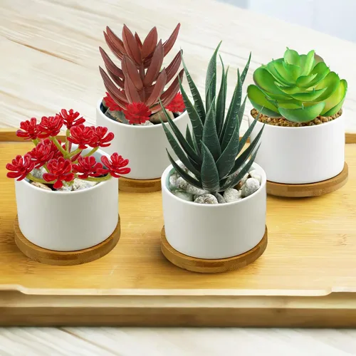 Vista 4 de QUOZUO Plantas suculentas artificiales, 16 plantas suculentas falsas para bricolaje, hogar, pared, jardín, oficina, fiesta, decoración colorida