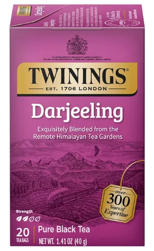 Vista 100 de Twinings Bolsas de té negro Blackcurrant Breeze envueltas individualmente, 20 unidades (paquete de 1), dulce, sabor picante, con cafeína, disfruta