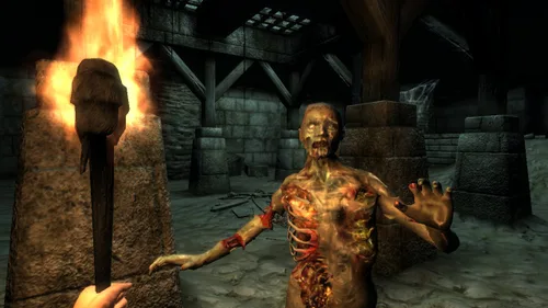 Vista 11 de The Elder Scrolls IV Oblivion - PC Game of the Year Edition
