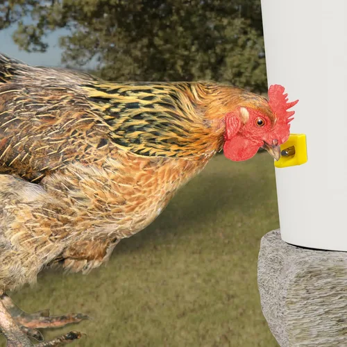Vista 3 de Tetinas para regar pollo, montaje lateral horizontal, sistema automático de agua antifugas para aves de corral, adecuado para pollos, pato
