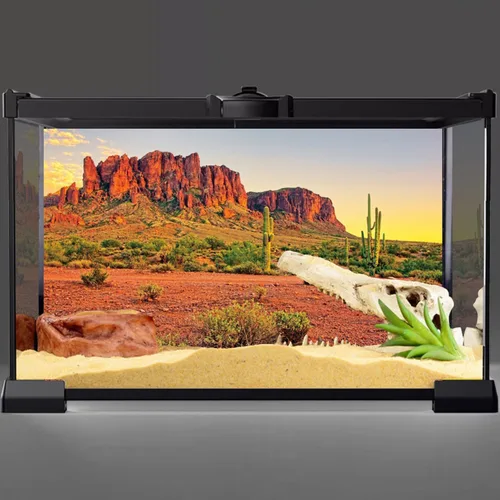 Vista 2 de AWERT 24x12 pulgadas Reptil Hábitat Fondo Cielo Oasis Montaña Cactus Sol y Desierto Terrario Fondo Poliéster Duradero