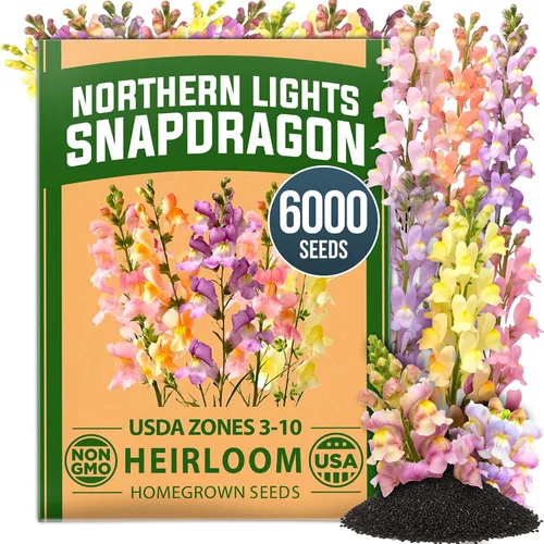 Vista 111 de HOME GROWN Bachelor Button Tall Mix 700+ Semillas de flores Centaurea