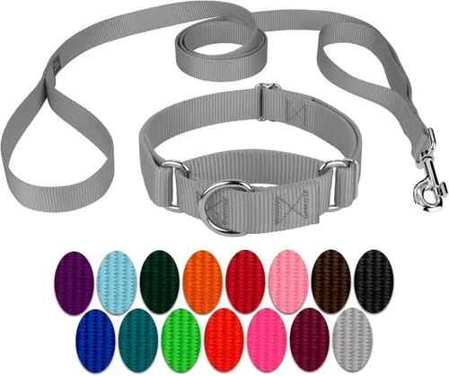 Vista 25 de Country Brook Design - Collar de perro de nailon Martingale y correa de doble asa-Negro-S