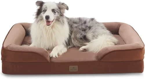 Vista 31 de Bedfolks - Cama ortopédica extra pequeña para perros, cama de sofá impermeable para perros pequeños y gatos, sofá de espuma en forma de huevo