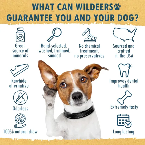 Vista 6 de Wildeers Cuernos de alce para perros pequeños, paquete de 3, ricos en minerales, masticables de hueso de cuernos de perro, fabricados en Estados