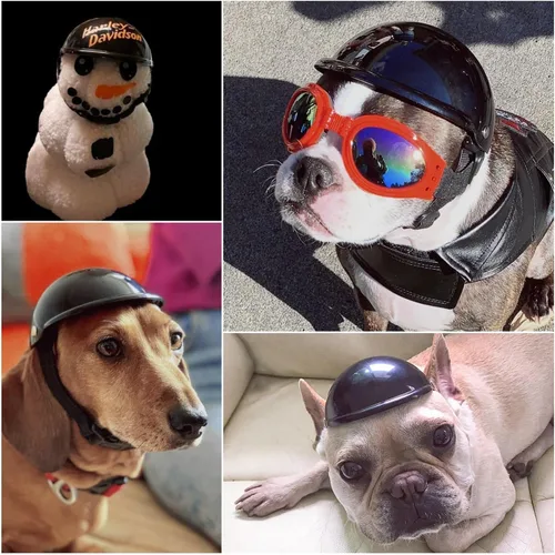 Vista 7 de Enjoying - Casco para perros pequeños a medianos, cascos para perros al aire libre, protección para la cabeza, casco para mascotas con correas