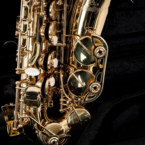 Vista 5 de Antigua Vosi AS2155LQ Eb - Saxofón alto con estuche