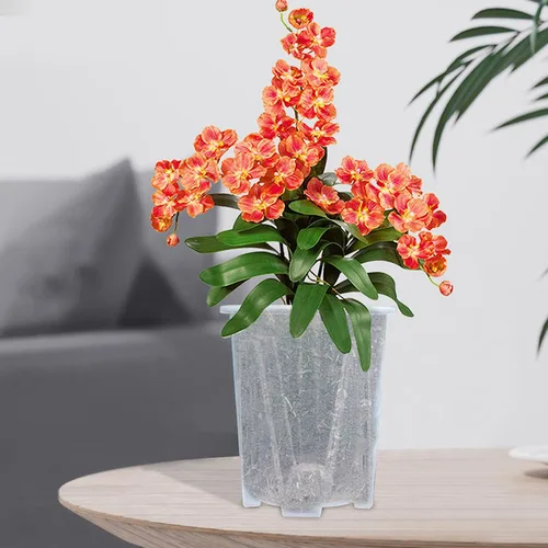 Vista 4 de Macetas para orquídeas, 5 unidades, transparentes con agujeros de drenaje, macetas de plástico para orquídeas, transpirables, ranuradas