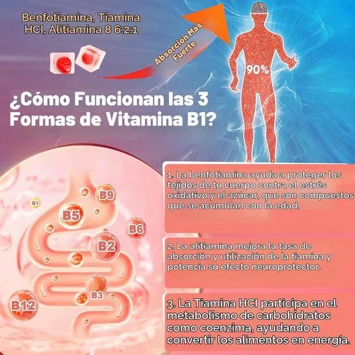 Vista 5 de Gomitas de vitamina B1 y complejo de vitamina B metilada, con benfotiamina, 60
