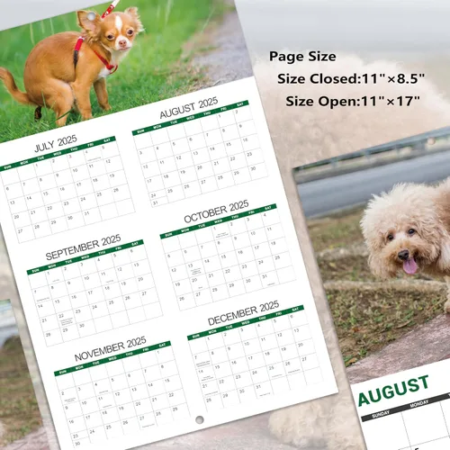 Vista 5 de Gag Gifts - Calendario 2021, calendario de pared, perros haciendo popo, para regalos de broma, enero a diciembre del 2021, 28 x 43.18 cm