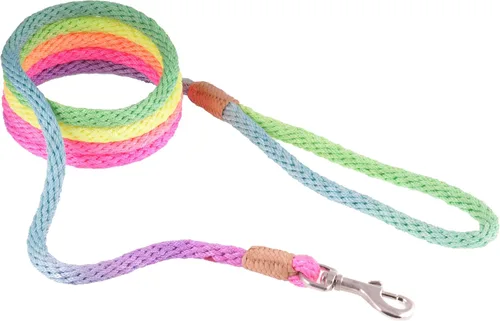Vista 191 de Alvalley Correa para perros estilo broche – Correa de nailon estilo broche para perros – Fácil de manejar – Perfecto para perros pequeños, medianos