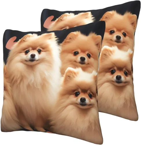 Vista 3 de Fundas de almohada con estampado de cachorros de Pomeranians de 16 x 16 pulgadas, funda de cojín suave y acogedora funda de almohada decorativa