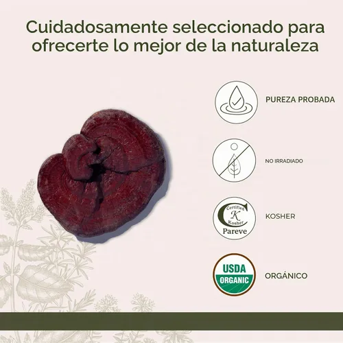 Vista 4 de Starwest Botanicals Setas Reishi Rojas Enteras Orgánicas - Bolsa de 4 oz