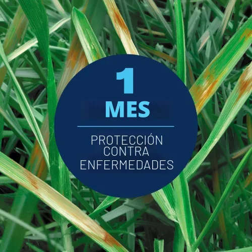 Vista 3 de BioAdvanced Control de Hongos para Césped en Gránulos, 10 libras Cura y previene enfermedades del césped – Protección de hasta 1 mes – Cubre 5,000