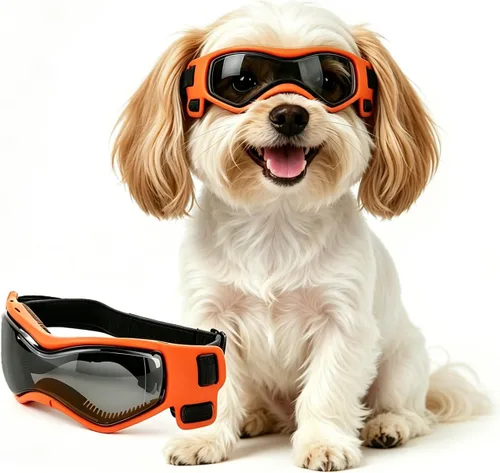 Vista 8 de Gafas para perros de razas pequeñas, lentes de sol para perros pequeños con protección UV, gafas para mascotas al aire libre, para equitación Negro