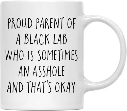 Vista 132 de Andaz Press Funny Dog - Taza de café de 11 onzas, regalo de broma, orgulloso padre de un afenpinscher que es a veces un gilipollas y eso está bien