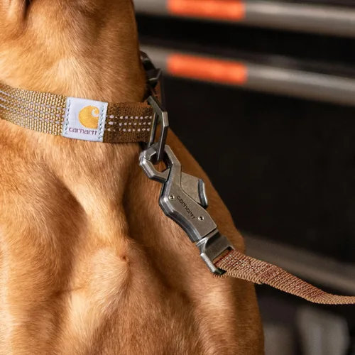 Vista 5 de Carhartt Pet - Correa totalmente ajustable para perros, costuras reflectantes para visibilidad, L