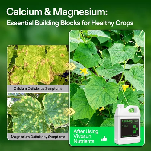 Vista 4 de VIVOSUN Cal+Mag+Hierro (2-0-0), suplemento de calcio, magnesio y hierro de 32 onzas Liquid Nutrient Fertilizer for All Plants, Concentrated Plant