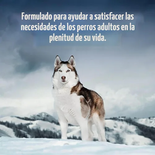 Vista 5 de Blue Buffalo Wilderness - Alimento húmedo para perros adultos, sin granos y con alto contenido de proteínas, variedad de carne de res y pollo &