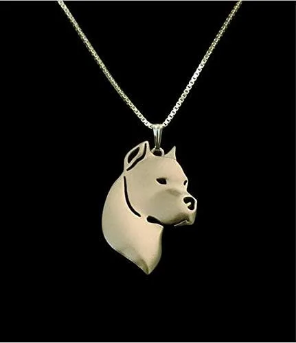 Vista 2 de Davitu - Collar de perro argentino