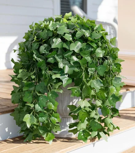 Vista 24 de Tallos de cedro artificiales Ivydale, ramas de pino Norfolk artificiales para decoración de Navidad, 12 tallos de pino falsos con 2 ramas de conos