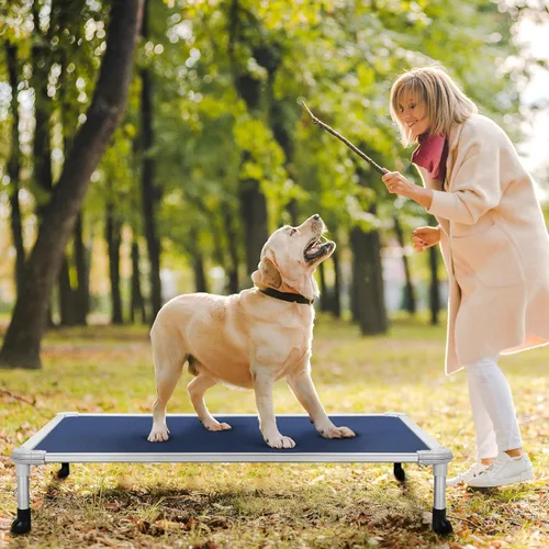 Vista 50 de Veehoo Cama elevada para perros a prueba de mordidas - Cuna elevada refrescante para mascotas - Marco de aluminio plateado y tela de malla