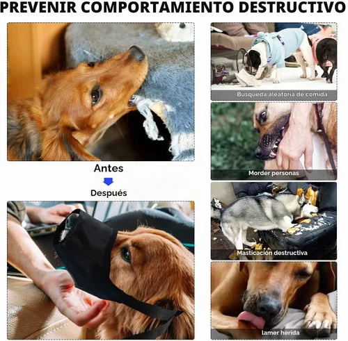 Vista 5 de Kit de primeros auxilios para perros, kit de primeros auxilios para mascotas, kit de emergencia para mascotas, arnés de hamaca, cortaúñas
