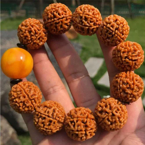 Vista 3 de Pulsera de la suerte con cuentas de turquesa Rudraksha natural de 0.984in #18365