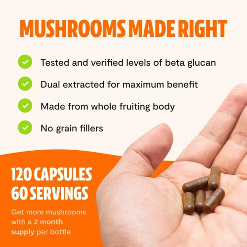 Vista 7 de FreshCap Mushrooms Paquete antioxidante (cápsulas Chaga y cápsulas de complejo de hongos definitivos)