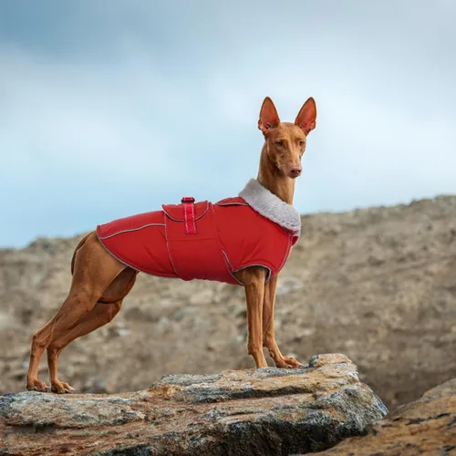 Vista 8 de Lelepet Abrigo cálido para perros – Chaleco reflectante impermeable de vellón con hebilla ajustable de gancho y bucle, chaqueta de invierno Rojo
