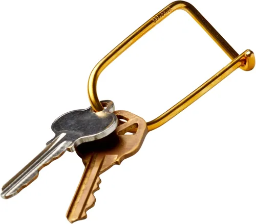 Vista 7 de Craighill Wilson Keyring - 2" Carabiner Keychain Clip, Key Ring for Car Keys, Lightweight, D Ring Key Organizer