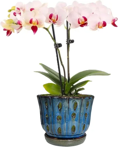 Vista 7 de Maceta redonda de orquídea de cerámica de 6 pulgadas con agujeros (azul oscuro)