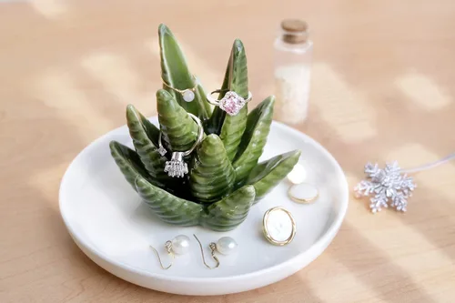 Vista 4 de PUDDING CABIN Soporte para anillos de aloe, plato para anillos de cactus, bandeja para joyas para anillos, aretes, collar, regalo de Navidad