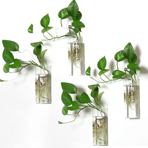 Vista 10 de Paquete de 2 macetas colgantes de pared, terrarios de vidrio, soportes cilíndricos para plantas de aire, plantas de aire, macetas para suculentas