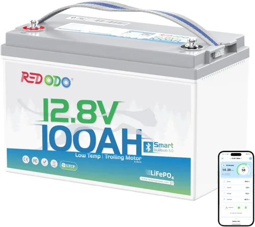 Vista 12 de Redodo Batería de litio de 12 V 50 Ah, batería portátil LiFePO4 de 50 Ah con BMS de 50 A, 640 Wh, hasta 15000 ciclos, ideal para motor de arrastre